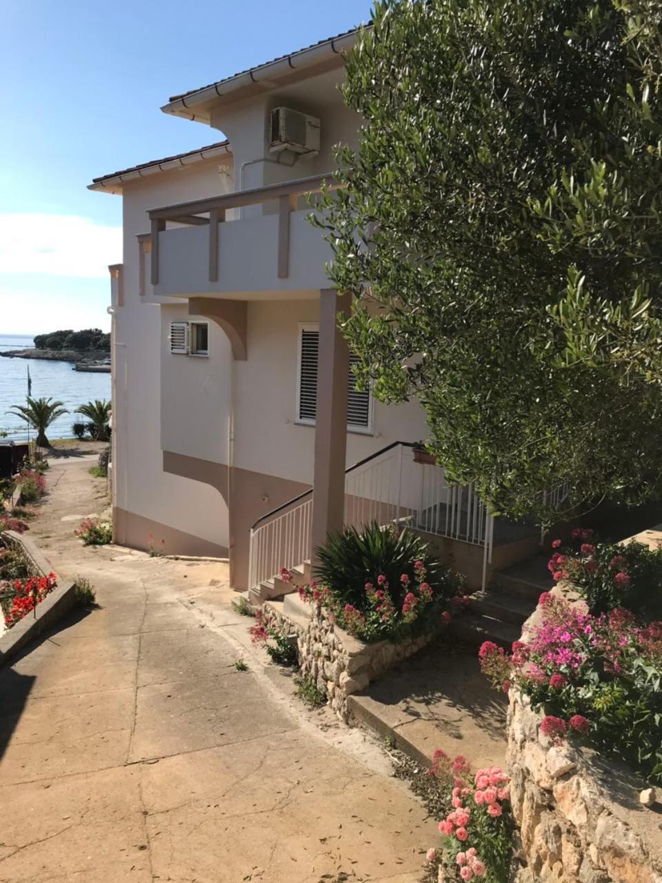 Apartments And Rooms Ljubica لون المظهر الخارجي الصورة