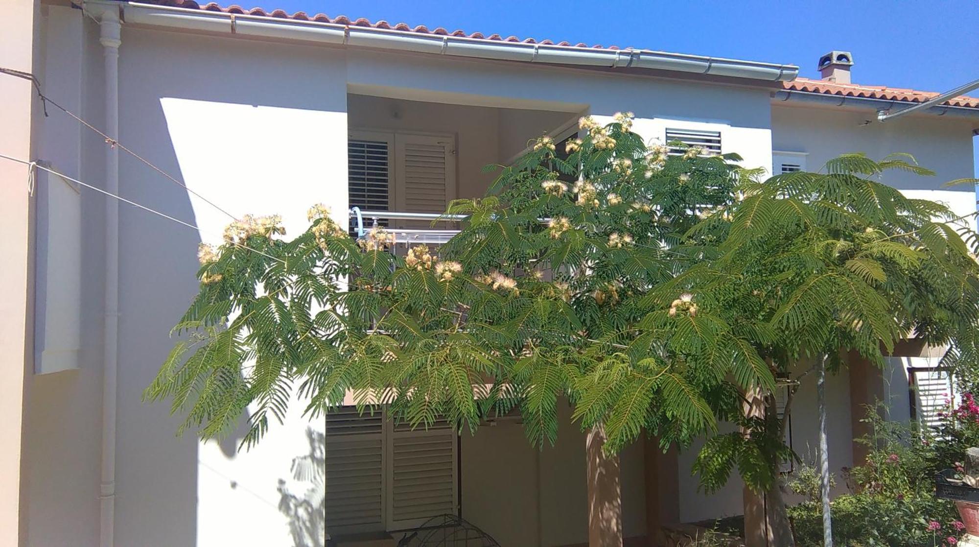 Apartments And Rooms Ljubica لون المظهر الخارجي الصورة